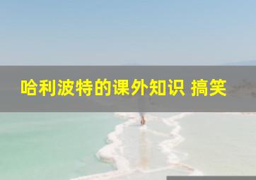 哈利波特的课外知识 搞笑